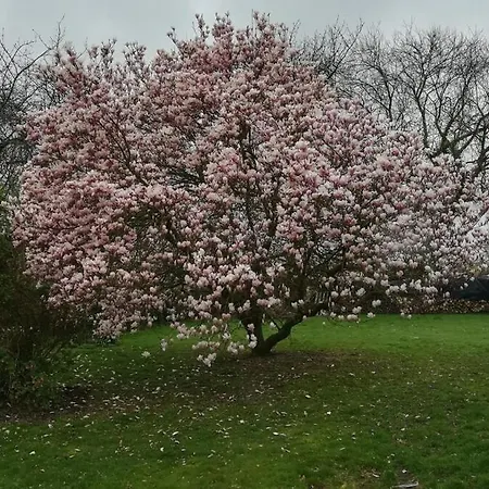 Dans Corps De Ferme En Picardie Vakantiehuis Valines